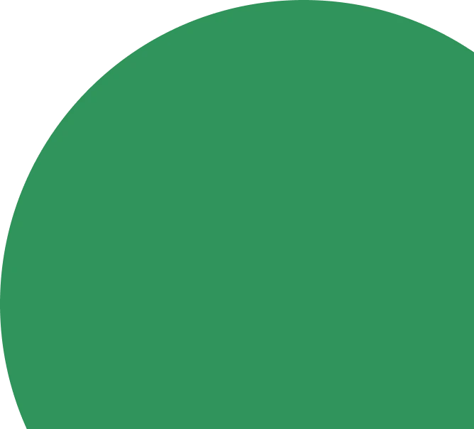 Experience UPI Digital Voucher